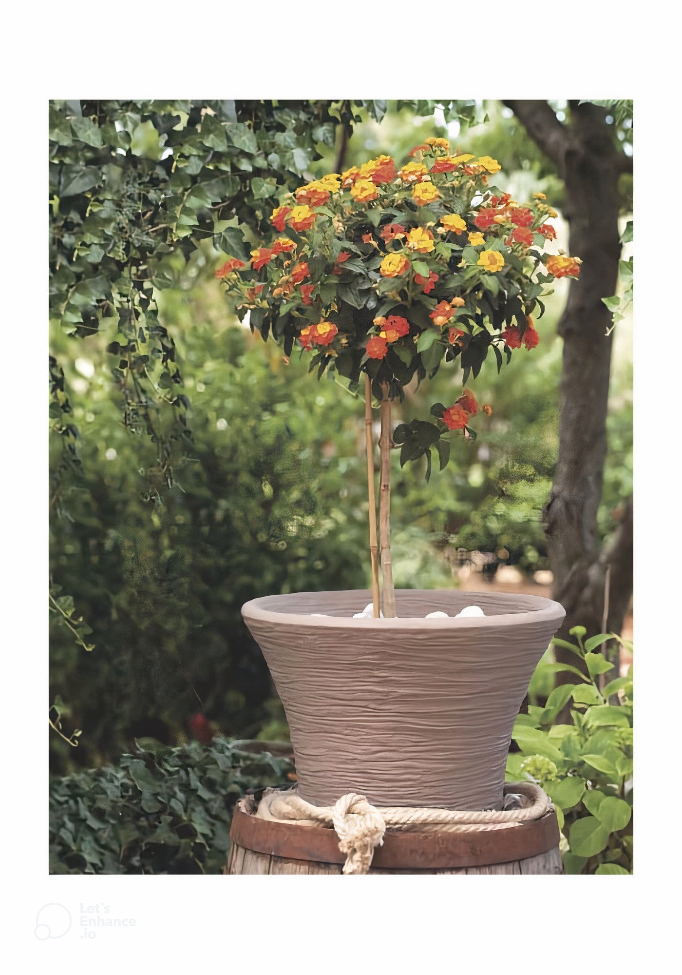 Vasar - Ragusa Collection CMRO Planter